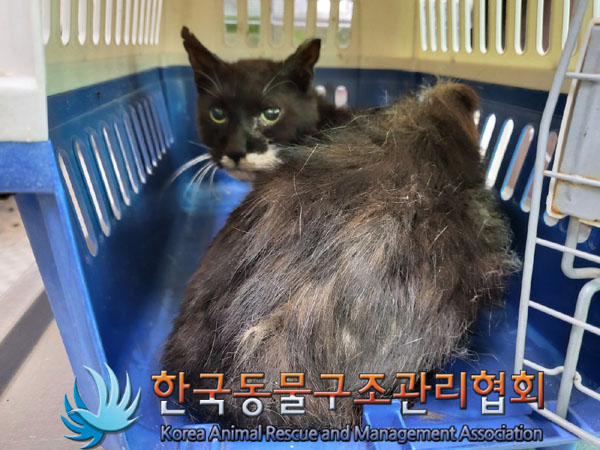한국동물구조관리협회_411311202300535